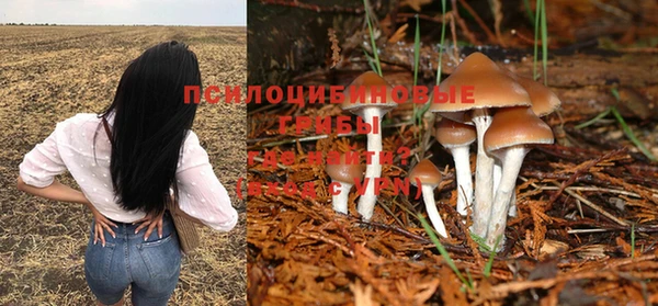 прущий лед Бугульма
